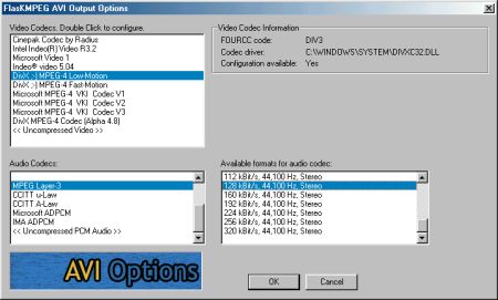 FlasKMPEG AVI Output Options